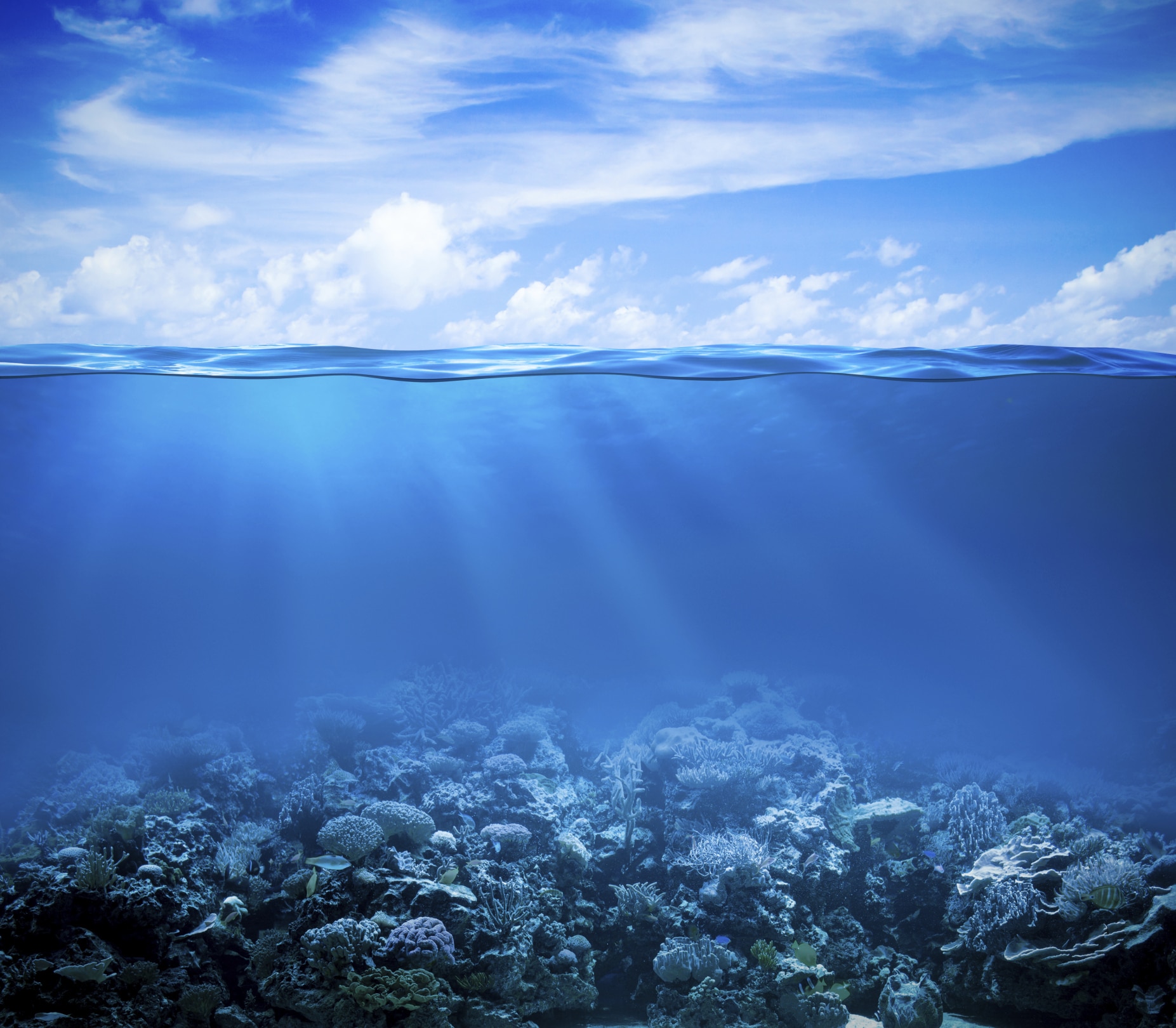 ¿En qué consiste la estrategia del océano azul?
