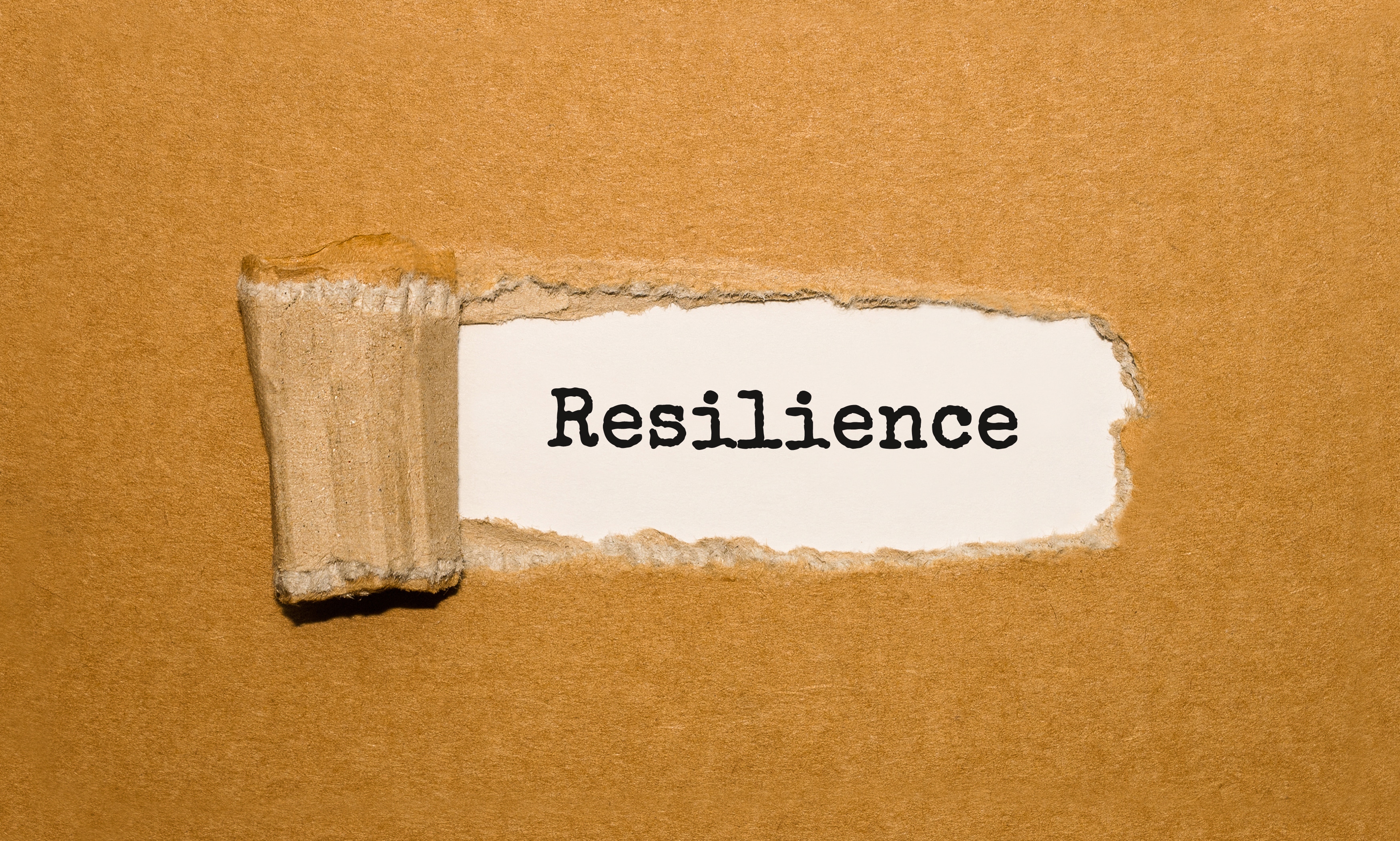 Cinco características de las empresas resilientes 